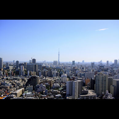 東京都の測量は実績豊富な株式会社ランデックスへ