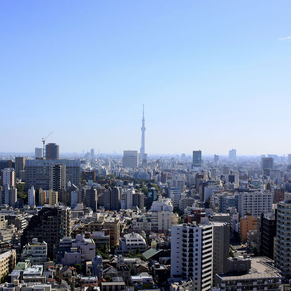 東京都の測量は実績豊富な株式会社ランデックスへ
